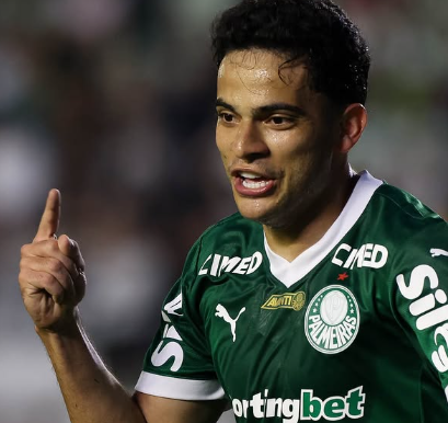 image para ilustrar o artigo