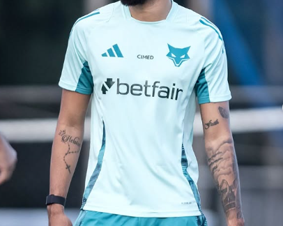 image para ilustrar o artigo