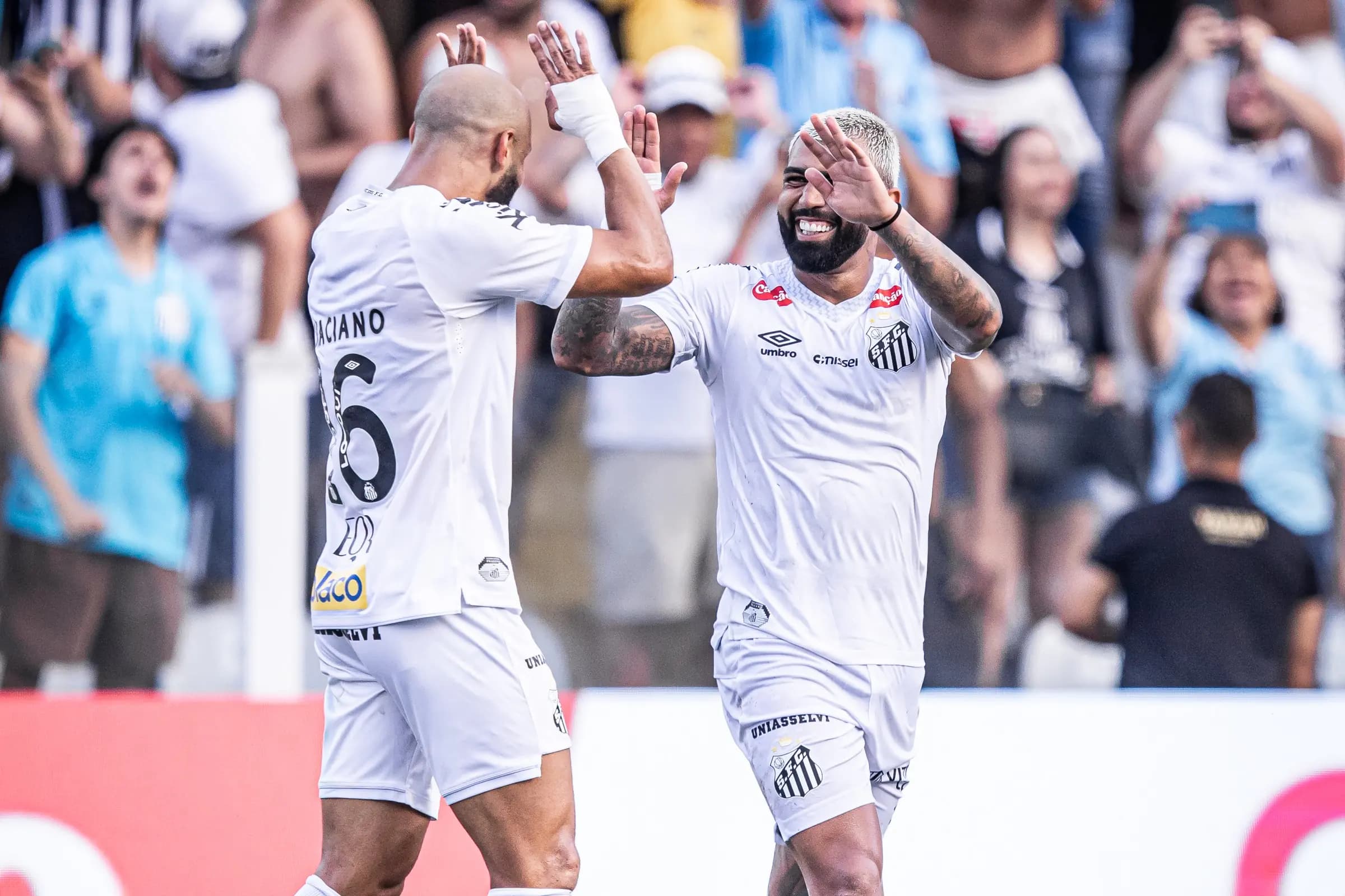 image para ilustrar o artigo