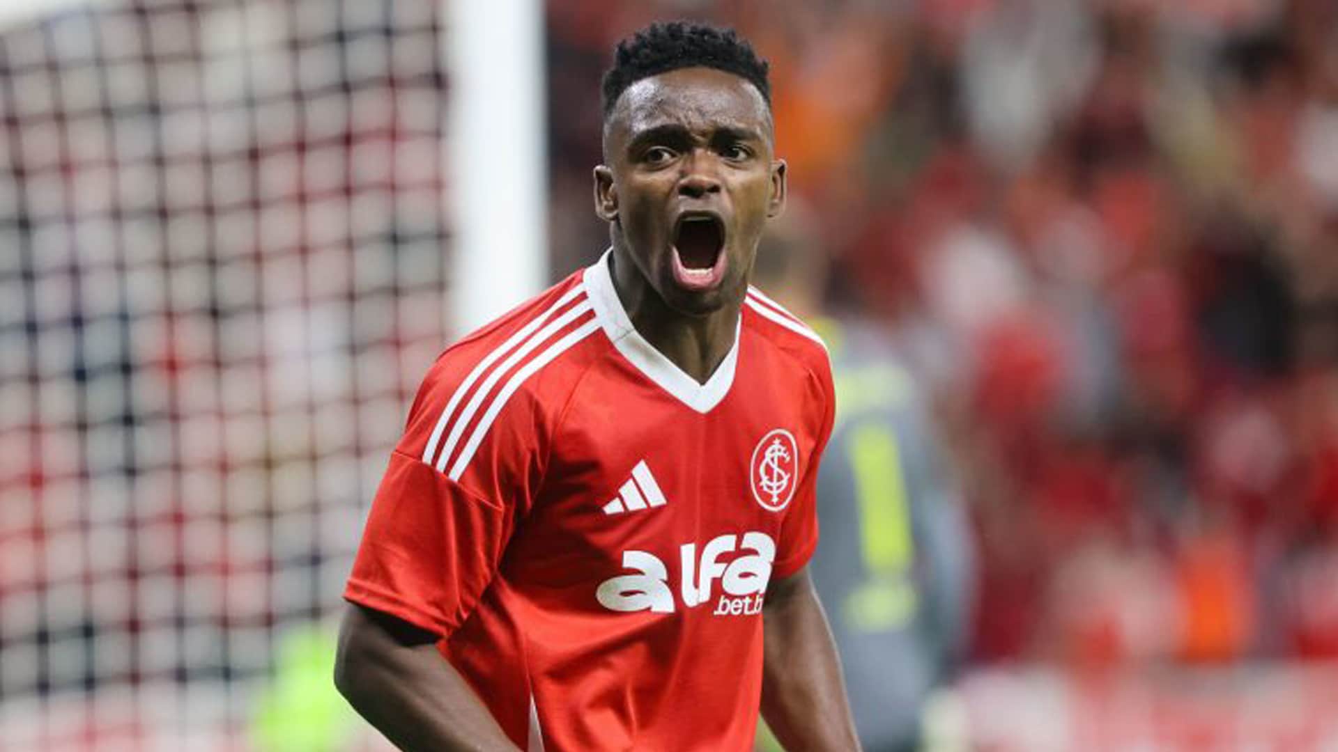 image para ilustrar o artigo