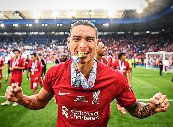 image para ilustrar o artigo