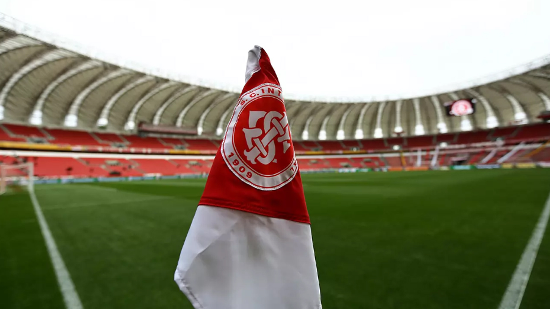 image para ilustrar o artigo