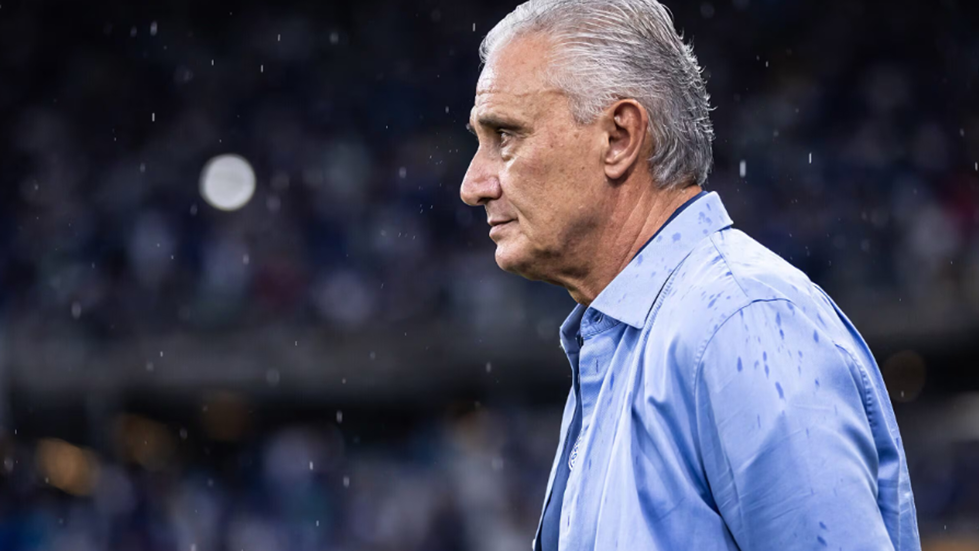 image para ilustrar o artigo