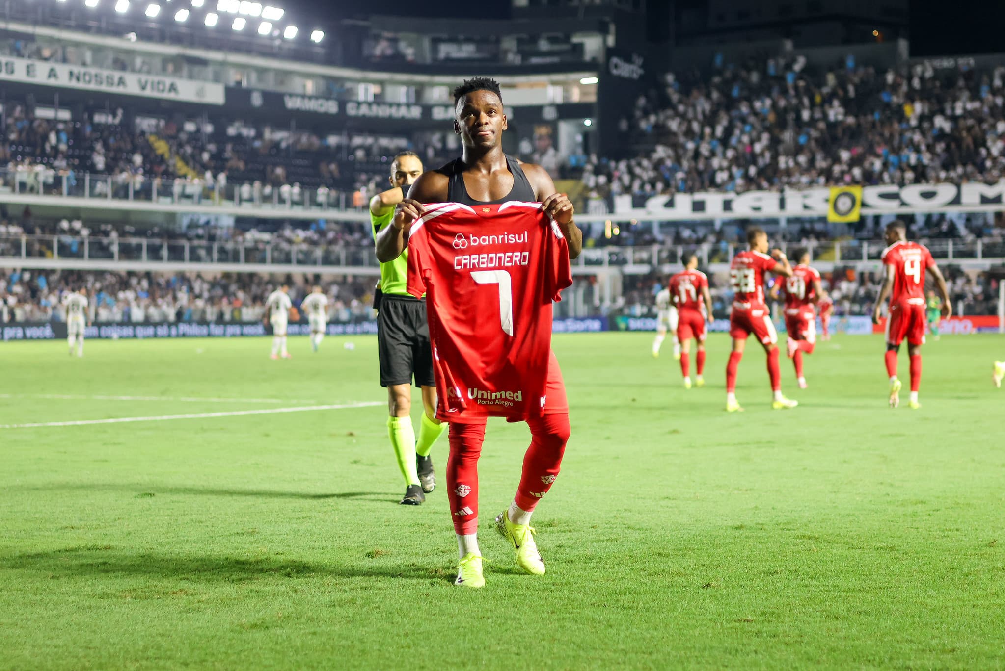 image para ilustrar o artigo