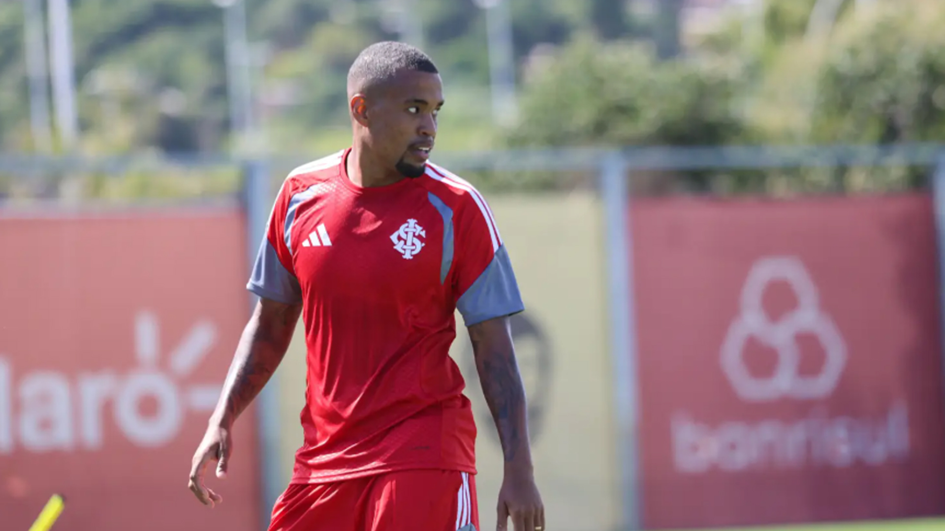 image para ilustrar o artigo