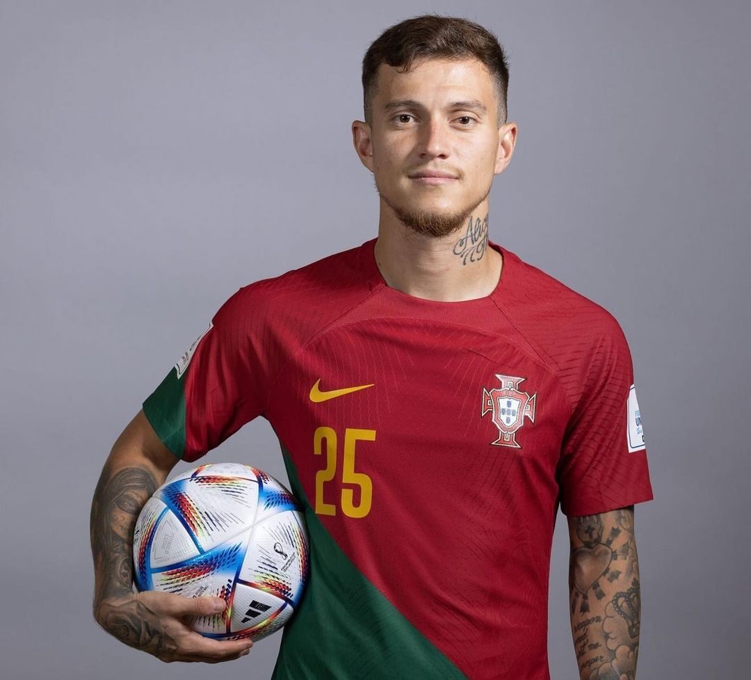 image para ilustrar o artigo