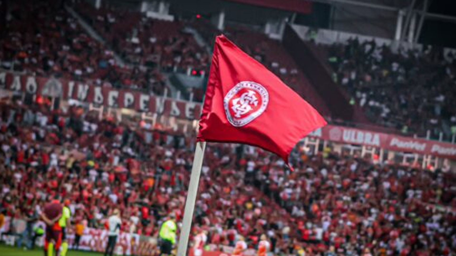 image para ilustrar o artigo