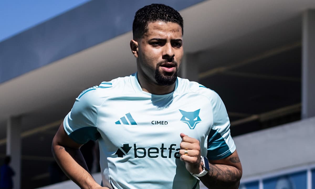 image para ilustrar o artigo