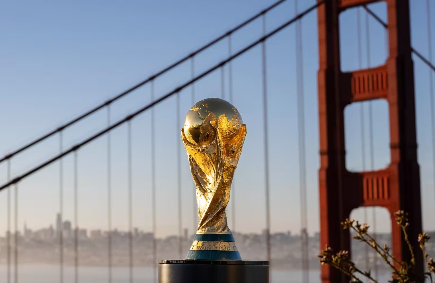 image para ilustrar o artigo