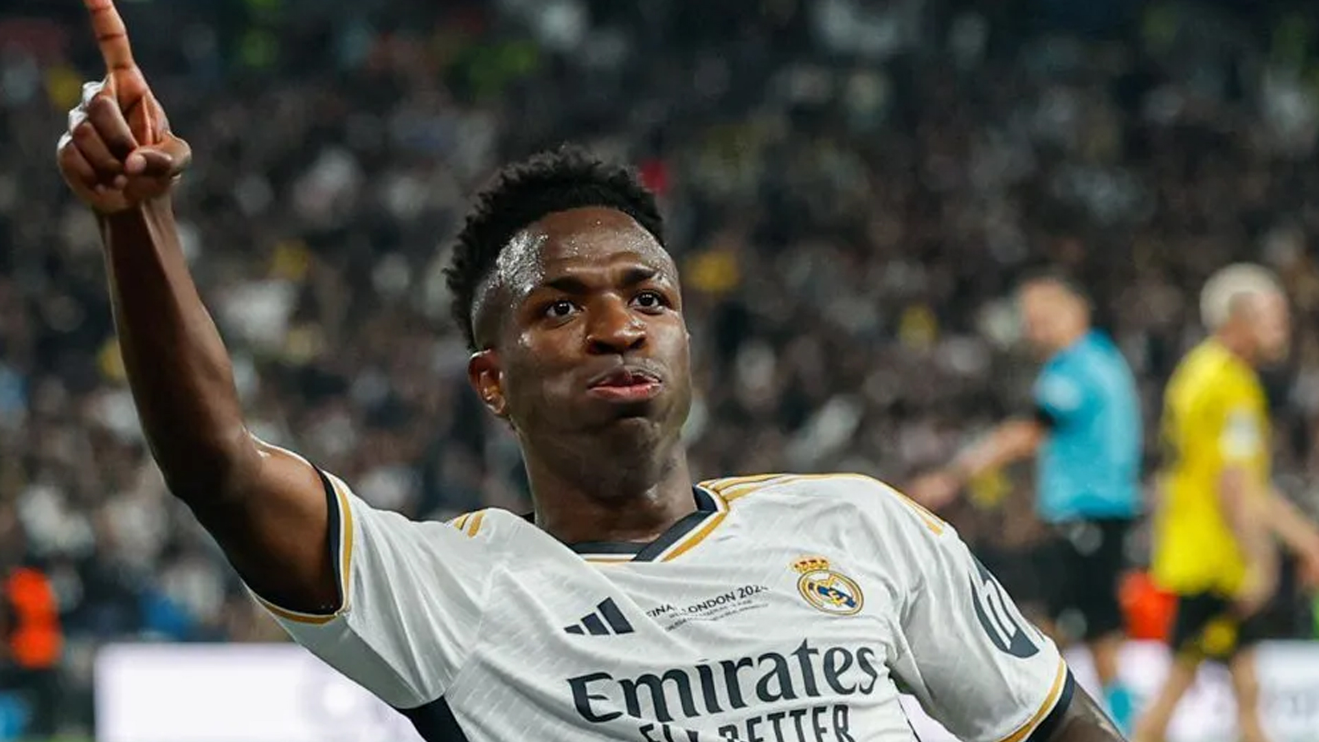 image para ilustrar o artigo