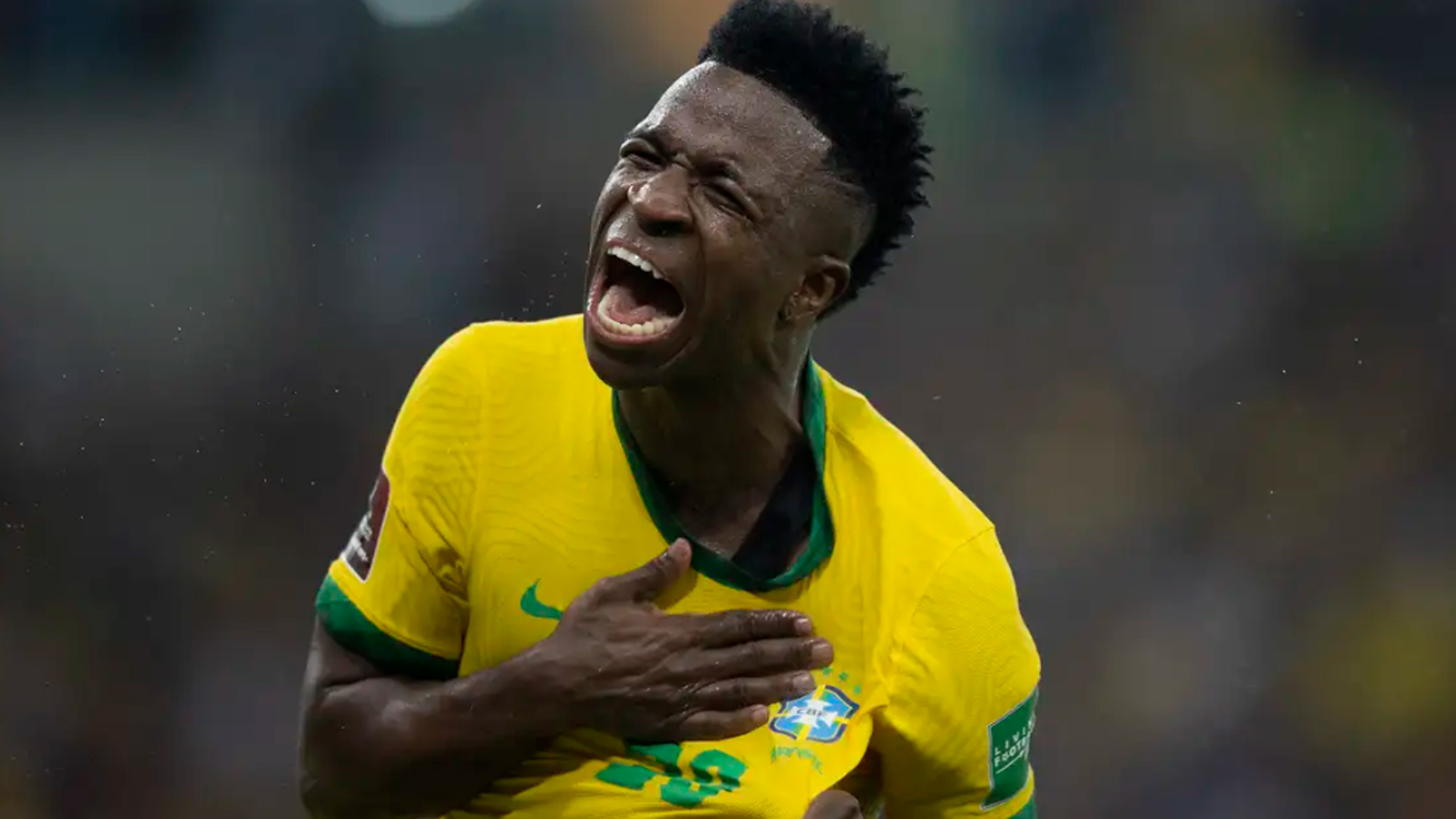 image para ilustrar o artigo