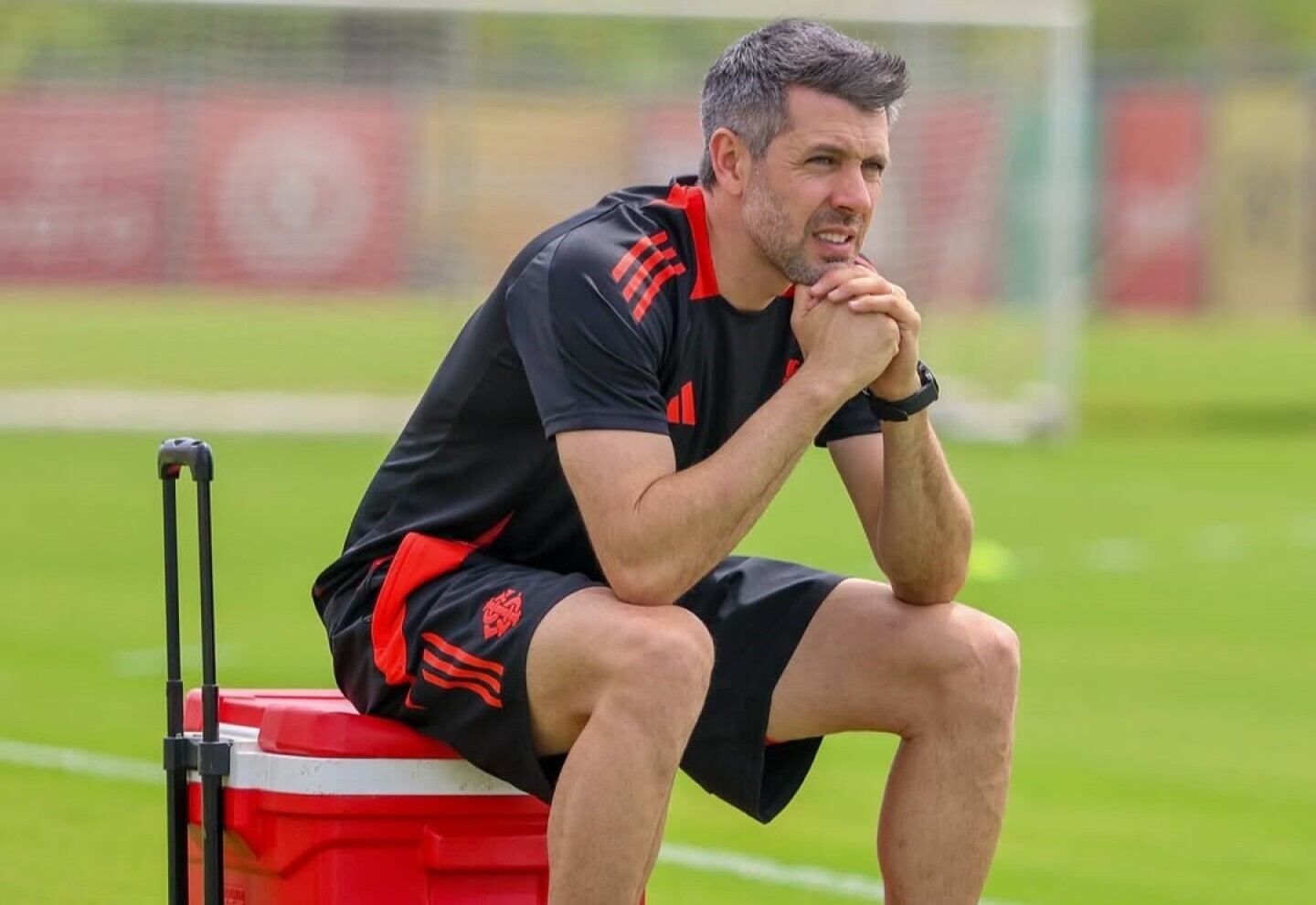 image para ilustrar o artigo