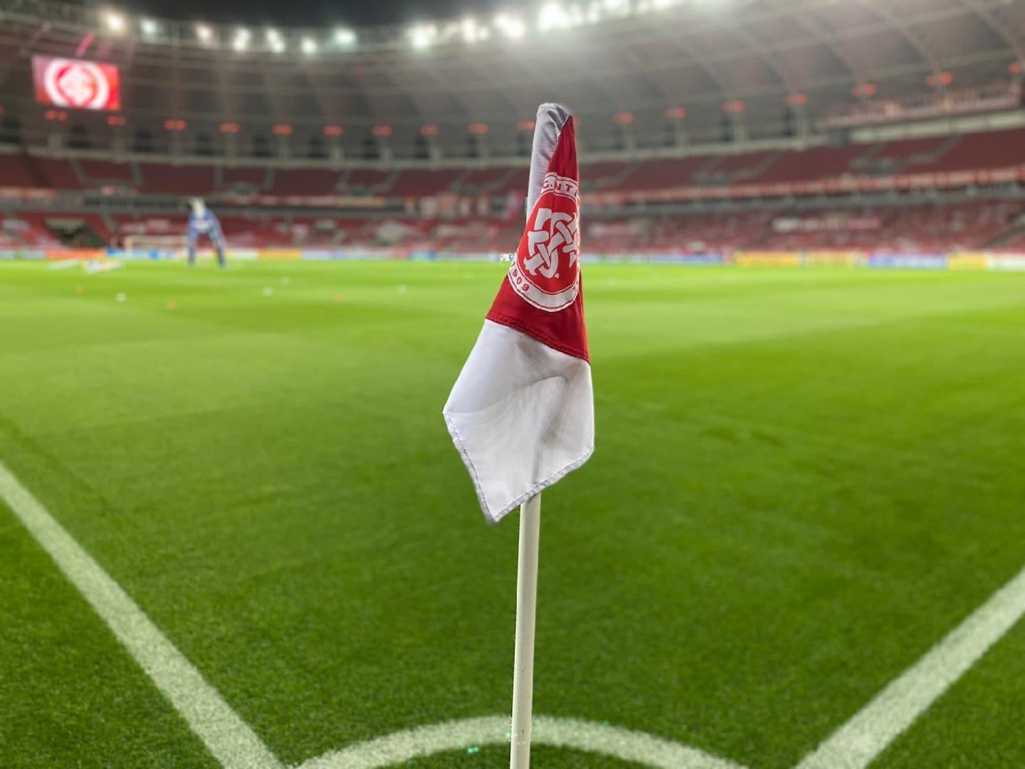 image para ilustrar o artigo