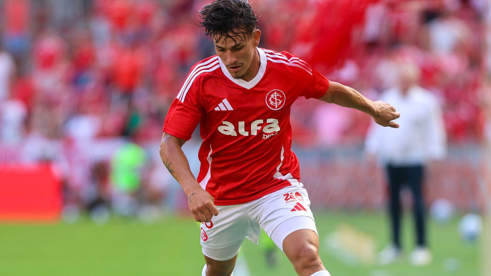 image para ilustrar o artigo