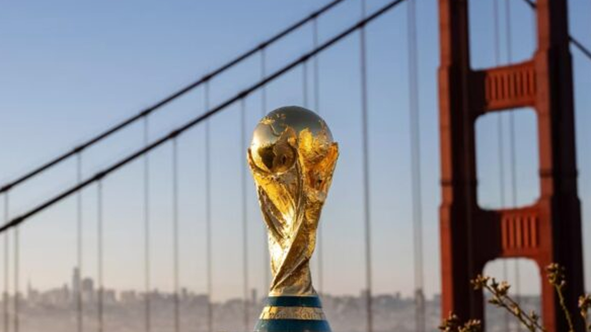 image para ilustrar o artigo